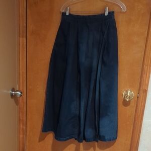 Zara Dark Blue A-Line Skirt